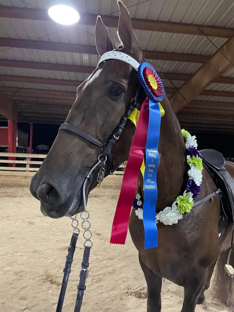 Mr. Louis Judd with his gelding Charlie's Cut Above